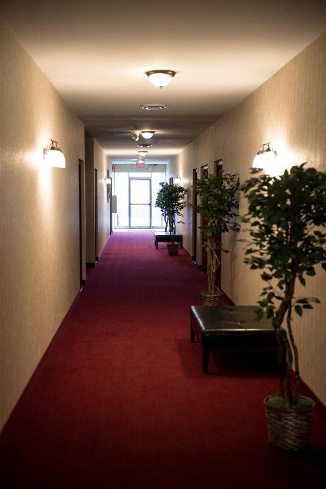 Pacer Inn & Suites Motel Делауер Екстериор снимка